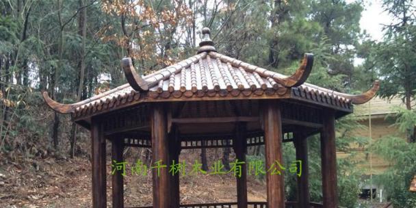 201312項(xiàng)目八角亭